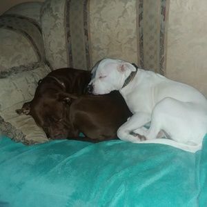 Meet your Posher, Brianna